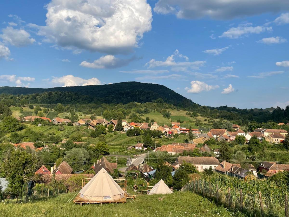 Saschiz 130/Lodging And Glamping Eksteriør billede