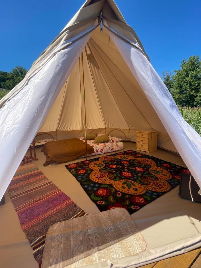 Saschiz 130/Lodging And Glamping Eksteriør billede