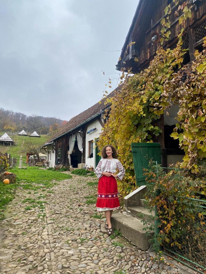 Saschiz 130/Lodging And Glamping Eksteriør billede