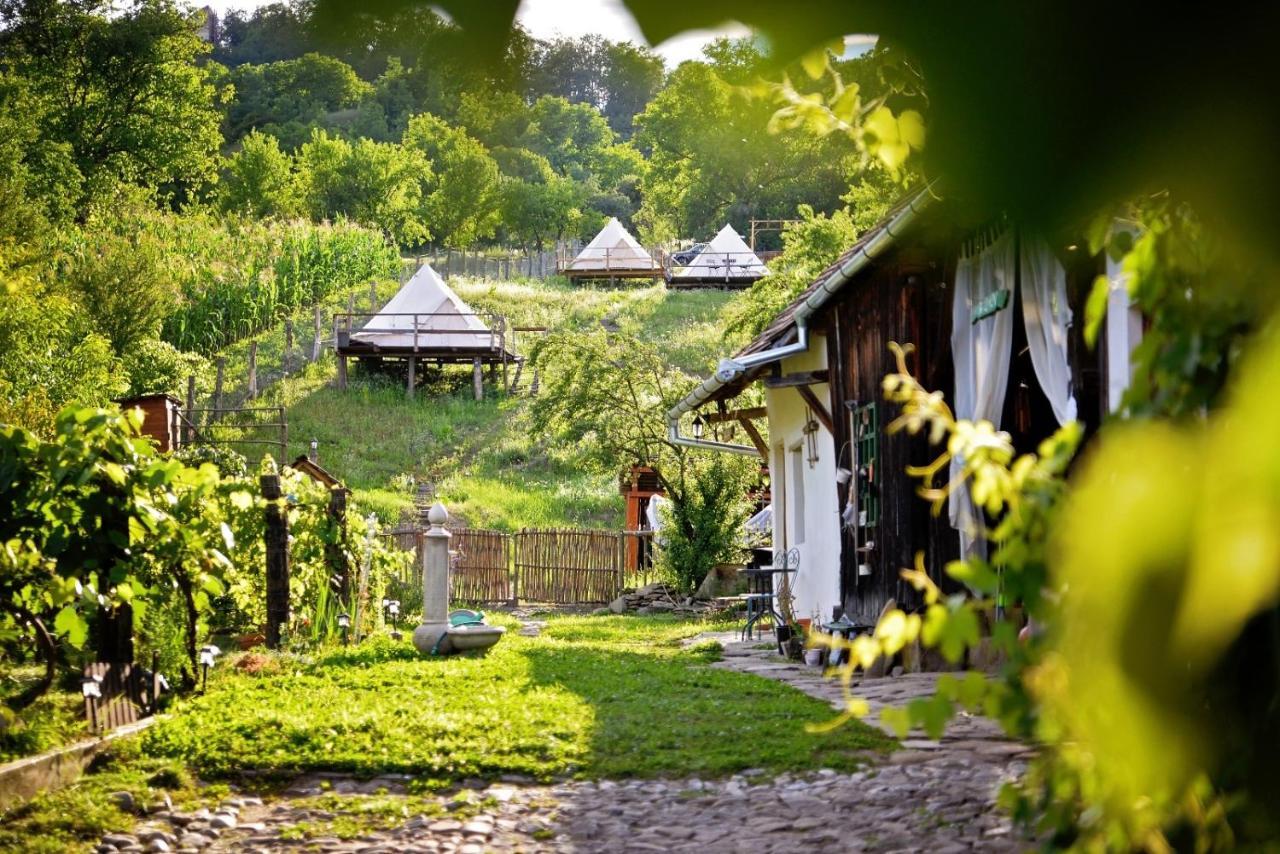 Saschiz 130/Lodging And Glamping Eksteriør billede