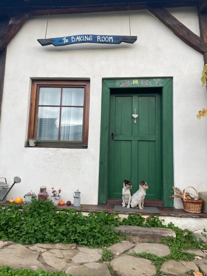 Saschiz 130/Lodging And Glamping Eksteriør billede