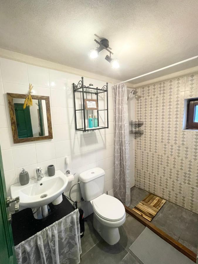 Saschiz 130/Lodging And Glamping Eksteriør billede